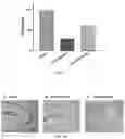 Fig. 08 - Granulocyte colony-stimulating factor (GCSF) gene therapy for treating neurological diseases