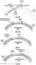 Fig. 09 - Systems and methods for peripheral nerve stimulation to treat tremor with detachable therapy and monitoring units