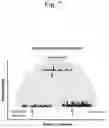 Fig. 08 - TRANSCUTANEOUS ELECTRICALLY AMPLIFIED COGNITIVE ENHANCEMENT SYSTEM