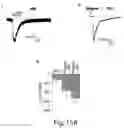 Fig. 40 - Compositions and methods to modulate cell activity