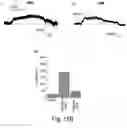 Fig. 41 - Compositions and methods to modulate cell activity