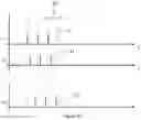 Fig. 06 - Aesthetic method of biological structure treatment by magnetic field