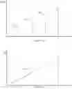 Fig. 11 - Aesthetic method of biological structure treatment by magnetic field