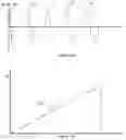 Fig. 13 - Aesthetic method of biological structure treatment by magnetic field