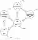 Fig. 14 - Aesthetic method of biological structure treatment by magnetic field