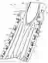 Fig. 01 - Swim fin