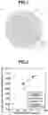 Fig. 02 - Golf ball