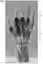 Fig. 02 - HIGH IMPACT-RESISTIVE PROTECTIVE GLOVE