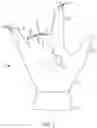 Fig. 02 - Bowling glove