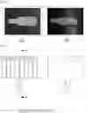Fig. 06 - High-speed polymerase chain reaction analysis plate