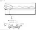 Fig. 06 - Decoration member and method for manufacturing same