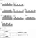 Fig. 10 - Decoration member and method for manufacturing same