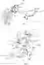 Fig. 02 - Rake device for a three wheel motorcycle