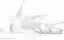 Fig. 01 - Snow vehicle