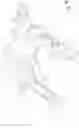 Fig. 25 - Snow vehicle