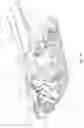Fig. 34 - Snow vehicle