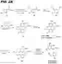 Fig. 04 - Macrocyclic toll-like receptor 7 (TLR7) agonists