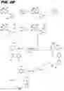 Fig. 05 - Macrocyclic toll-like receptor 7 (TLR7) agonists