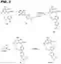 Fig. 06 - Macrocyclic toll-like receptor 7 (TLR7) agonists