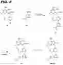 Fig. 07 - Macrocyclic toll-like receptor 7 (TLR7) agonists