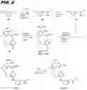 Fig. 09 - Macrocyclic toll-like receptor 7 (TLR7) agonists