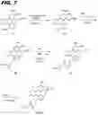 Fig. 10 - Macrocyclic toll-like receptor 7 (TLR7) agonists