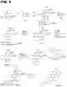 Fig. 12 - Macrocyclic toll-like receptor 7 (TLR7) agonists