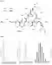 Fig. 09 - BACTERIAL SIDEROPHORE GRAMIBACTIN