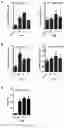 Fig. 09 - Tale RVD specifically recognizing DNA base modified by methylation and application thereof