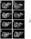 Fig. 02 - Mutant fragments of OspA and methods and uses relating thereto