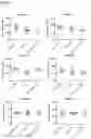 Fig. 06 - Mutant fragments of OspA and methods and uses relating thereto