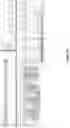 Fig. 47 - PEPTIDES