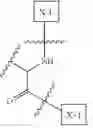 Fig. 216 - NOVEL IL-15 CONJUGATES AND USES THEREOF
