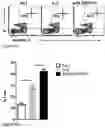 Fig. 09 - Modulation of SLAMF6 splice variants for cancer therapy