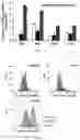 Fig. 08 - NOVEL ANTICANCER FUSION PROTEIN AND USE THEREOF