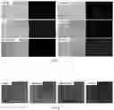 Fig. 07 - Recombinant herpes simplex virus having expression cassette expressing fused protein of cancer cell-targeting domain and extracellular domain of HVEM and use thereof