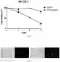 Fig. 08 - Recombinant herpes simplex virus having expression cassette expressing fused protein of cancer cell-targeting domain and extracellular domain of HVEM and use thereof