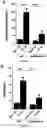 Fig. 02 - Methods for preventing ischemia reperfusion injury in an organ with antibody antagonists of IL-33