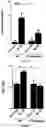 Fig. 03 - Methods for preventing ischemia reperfusion injury in an organ with antibody antagonists of IL-33