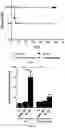 Fig. 04 - Methods for preventing ischemia reperfusion injury in an organ with antibody antagonists of IL-33