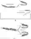 Fig. 02 - Compound targeting IL-23A and TNF-alpha and uses thereof