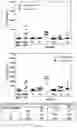 Fig. 06 - Compound targeting IL-23A and TNF-alpha and uses thereof