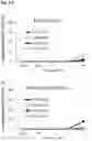 Fig. 08 - CYTOTOXICITY-INDUCING THERAPEUTIC AGENT