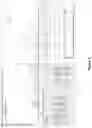 Fig. 06 - PEPTIDES