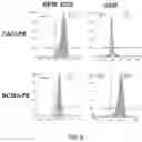 Fig. 08 - IMMUNE CELLS EXPRESSING A CHIMERIC ANTIGEN RECEPTOR