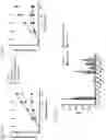 Fig. 28 - IMMUNE CELLS EXPRESSING A CHIMERIC ANTIGEN RECEPTOR
