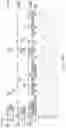 Fig. 41 - IMMUNE CELLS EXPRESSING A CHIMERIC ANTIGEN RECEPTOR