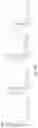 Fig. 47 - IMMUNE CELLS EXPRESSING A CHIMERIC ANTIGEN RECEPTOR