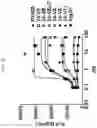 Fig. 05 - ANTIBODIES TO CD40
