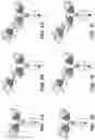 Fig. 02 - ANTIBODIES BINDING TO GPRC5D